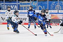 Eishockey, Herren, DEL, Saison 2024-2025, Spieltag 26, ERC Ingolstadt - Iserlohn Roosters, 15.12.2024
