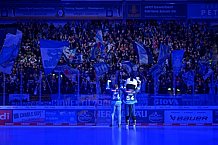 Eishockey, Herren, DEL, Saison 2024-2025, Spieltag 36, ERC Ingolstadt - Kölner Haie, 12.01.2025
