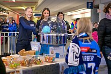 Eishockey, Herren, DEL, Saison 2025-2026, Spiel 28, ERC Ingolstadt - Iserlohn Roosters, 14.12.2025