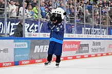 Eishockey, Herren, DEL, Saison 2024-2025, Spieltag 6, ERC Ingolstadt - Düsseldorfer EG, 04.10.2024
