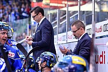 ERC Ingolstadt  Thomas Sabo Ice Tigers, Eishockey, DEL, Deutsche Eishockey Liga, Spieltag 8, 01.10.2017