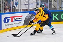 Hockey, Mens, CHL, Season 2025-2026, Regular Season, Game Day 2, ERC Ingolstadt - Kalpa Kuopio, 30.08.2025