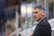 ERC Ingolstadt - Adler Mannheim, Eishockey, DEL, Deutsche Eishockey Liga, Spieltag 47, 24.02.2016