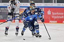 Eishockey, Frauen, DFEL, Saison 2023-2024, ERC Ingolstadt - ESC Planegg-Würmtal, 26.11.2023