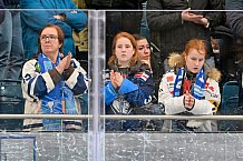 Eishockey, Herren, DEL, Saison 2024-2025, Spieltag 42, ERC Ingolstadt - Kölner Haie, 31.01.2025