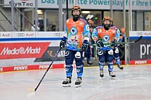 Eishockey, Frauen, DFEL, Saison 2024-2025, ERC Ingolstadt - Mad Dogs Mannheim, 23.11.2024