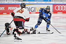 Eishockey, Frauen, DFEL, Saison 2023-2024, ERC Ingolstadt - EC Bergkamener Bären, 28.10.2023