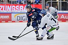 Eishockey, Herren, DEL, Saison 2024-2025, Spieltag 49, ERC Ingolstadt - Straubing Tigers, 28.02.2025