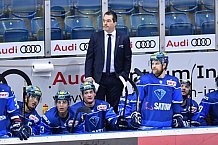 ERC Ingolstadt vs Duesseldorfer EG, Eishockey, DEL, Deutsche Eishockey Liga, Spieltag 22, 19.11.2017