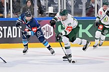 Eishockey, Mens, CHL, Season 2023-2024, ERC Ingolstadt - Färjestad Karlstad, 02.09.2023