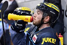 ERC Ingolstadt vs Duesseldorfer EG, Eishockey, DEL, Deutsche Eishockey Liga, Spieltag 50, 21.02.2017