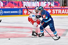 Hockey, Mens, CHL, Season 2025-2026, Regular Season, Round of 16, ERC Ingolstadt - EC Red Bull Salzburg, 12.11.2025
