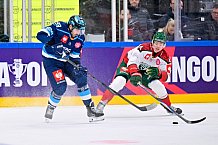 Hockey, Mens, CHL, Season 2025-2026, Quarter-Finals, ERC Ingolstadt - Frölunda Gothenburg, 02.12.2025