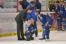 ERC Ingolstadt vs Hamburg Freezers, Eishockey, DEL, Deutsche Eishockey Liga, 10.01.2016