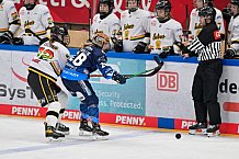 Eishockey, Frauen, DFEL, Vorbereitung, Saison 202-2025, ERC Ingolstadt - St. Pölten, 07.09.2024