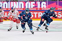 Hockey, Mens, CHL, Season 2025-2026, Regular Season, Round of 16, ERC Ingolstadt - EC Red Bull Salzburg, 12.11.2025