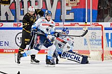 Eishockey, Herren, DEL, Saison 2024-2025, Playoffs Viertelfinale, Spiel 1, Nürnberg Ice Tigers - ERC Ingolstadt, 18.03.2025