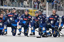 Eishockey, Herren, DEL, Saison 2024-2025, Spieltag 11, ERC Ingolstadt - Pinguins Bremerhaven, 20.10.2024