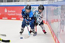 Eishockey, Herren, DEL, Saison 2026-2027, Spieltag 2, ERC Ingolstadt - Nürnberg Ice Tigers, 20.09.2026