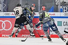 Eishockey, Herren, DEL, Saison 2023-2024, Spieltag 51, ERC Ingolstadt - Kölner Haie, 03.03.2024