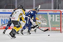 Eishockey, Frauen, DFEL, Saison 2021-2022, ERC Ingolstadt - Mad Dogs Mannheim, 23.10.2021