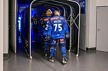 Eishockey, Herren, DEL, Saison 2024-2025, Playoffs Viertelfinale, Spiel 3, ERC Ingolstadt - Nürnberg Ice Tigers, 21.03.2025