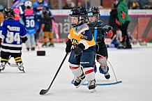 Eishockey, Saison 2025-2026, ERC Ingolstadt - Kids On Ice Day, 10.01.2026