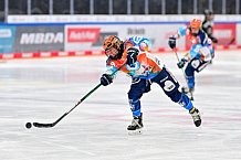 Eishockey, Frauen, DFEL, Saison 2024-2025, ERC Ingolstadt - EC Bergkamener Bären, 05.01.2025