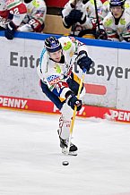 Eishockey, Herren, DEL, Saison 2024-2025, Spieltag 41, ERC Ingolstadt - Eisbären Berlin, 26.02.2025