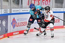 Eishockey, Herren, DEL, Saison 2026-2027, Spieltag 6, ERC Ingolstadt - Kölner Haie, 04.10.2026