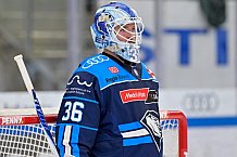 Eishockey, Herren, DEL, Saison 2025-2026, Spiel 44, ERC Ingolstadt - Dresdner Eislöwen, 27.01.2026