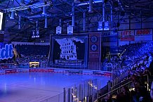 Eishockey, Herren, DEL, Saison 2023-2024, Spieltag 39, ERC Ingolstadt - Iserlohn Roosters, 19.01.2024