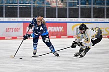 Eishockey, Frauen, DFEL, Saison 2024-2025, ERC Ingolstadt - Mad Dogs Mannheim, 23.11.2024