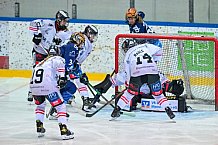 Eishockey, Frauen, DFEL, Saison 2024-2025, ERC Ingolstadt - ECDC Memmingen Indians, 19.01.2025