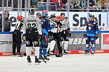 Eishockey, Herren, DEL, Saison 2024-2025, Spieltag 42, ERC Ingolstadt - Kölner Haie, 31.01.2025