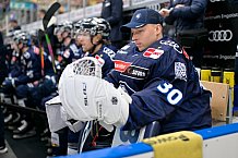 Eishockey, Herren, DEL, Saison 2024-2025, Spieltag 49, ERC Ingolstadt - Straubing Tigers, 28.02.2025