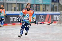 Eishockey, Frauen, DFEL, Saison 2024-2025, ERC Ingolstadt - Mad Dogs Mannheim, 23.11.2024