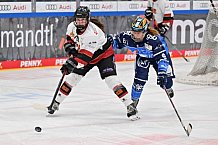 Eishockey, Frauen, DFEL, Saison 2023-2024, ERC Ingolstadt - EC Bergkamener Bären, 28.10.2023