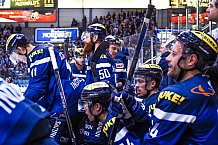 ERC Ingolstadt - Krefeld Pinguine, Eishockey, DEL, Deutsche Eishockey Liga, Spieltag 35, 05.01.2017