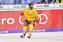 ERC Ingolstadt vs Duesseldorfer EG, Eishockey, DEL, Deutsche Eishockey Liga, Spieltag 22, 19.11.2017
