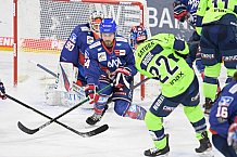 Eishockey, Herren, DEL, Saison 2020-2021, Adler Mannheim - ERC Ingolstadt, 15.02.2021