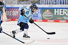 Eishockey, Herren, DEL, Saison 2026-2027, Spieltag 8, ERC Ingolstadt - Löwen Frankfurt, 11.10.2026