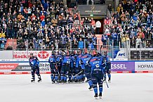 Eishockey, Herren, DEL, Saison 2023-2024, Spieltag 46, ERC Ingolstadt - Düsseldorfer EG, 15.02.2024