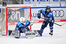 Eishockey, Frauen, DFEL, Saison 2025-2026, Testspiel, ERC Ingolstadt - HC Davos, 14.02.2026