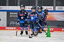 Eishockey, Herren, DEL, Saison 2024-2025, ERC Ingolstadt - Kids On Ice Day, 11.01.2025