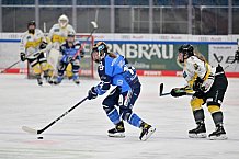 Eishockey, Frauen, DFEL, Saison 2023-2024, ERC Ingolstadt - Mad Dogs Mannheim, 18.02.2024
