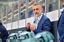 Hockey, Mens, CHL, Season 2025-2026, Regular Season, Game Day 6, ERC Ingolstadt - Odense Bulldogs, 15.10.2025