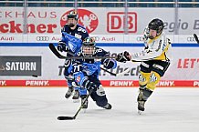Eishockey, Frauen, DFEL, Saison 2023-2024, ERC Ingolstadt - Mad Dogs Mannheim, 18.02.2024