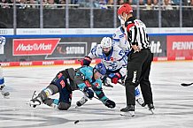 Eishockey, Herren, DEL, Saison 2026-2027, Spieltag 4, ERC Ingolstadt - Adler Mannheim, 27.09.2026