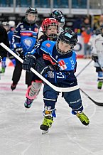 Eishockey, Saison 2025-2026, ERC Ingolstadt - Kids On Ice Day, 10.01.2026